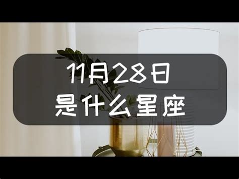 11月28日是什麼星座